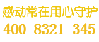 东星保险柜